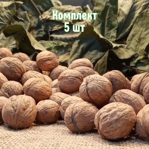 Комплект 5шт / Грецкий орех Великан
