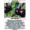 Саженцы Вишни Багряная Средняя - 5 шт.: фото и описание